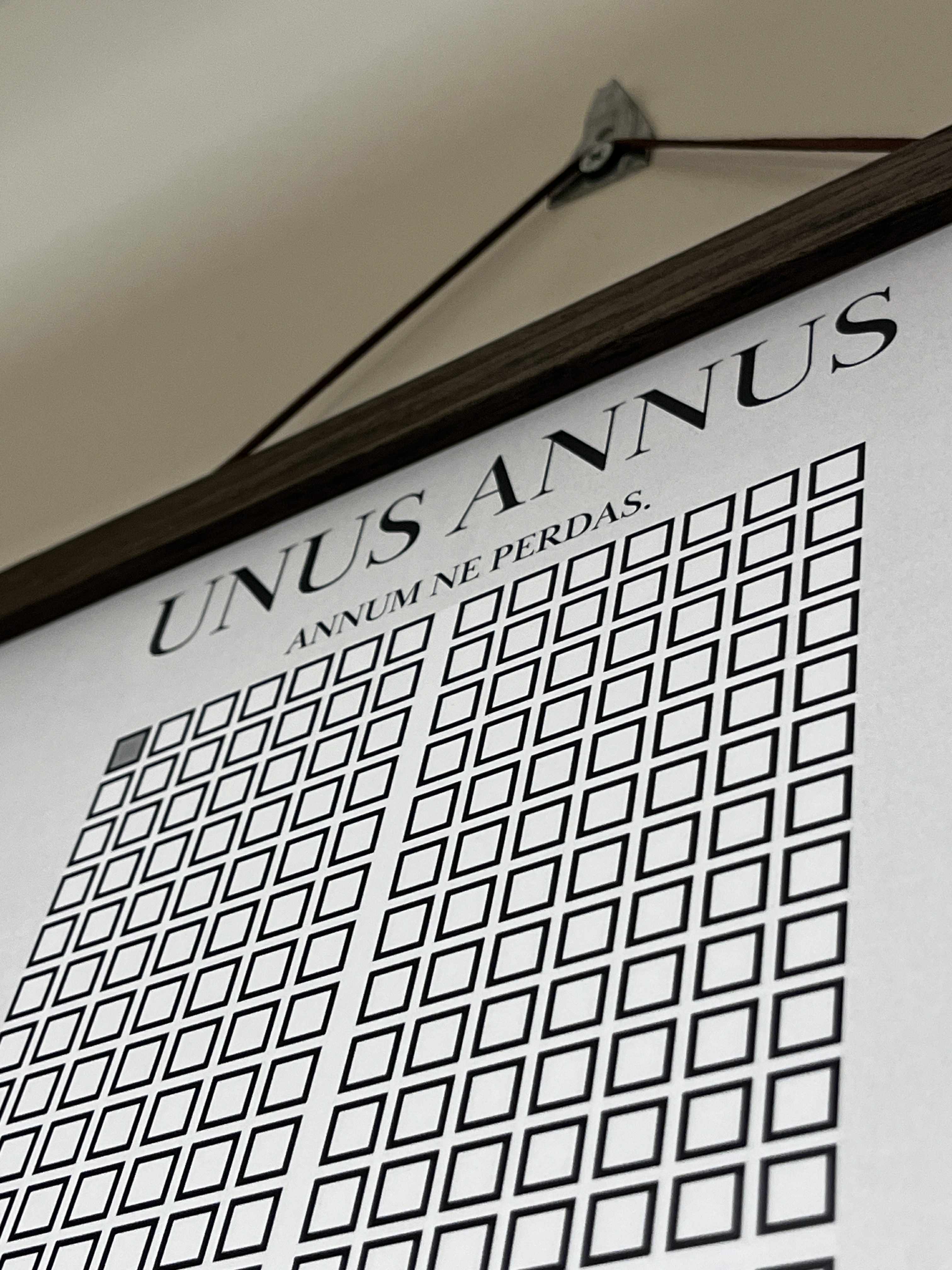 Unus Annus