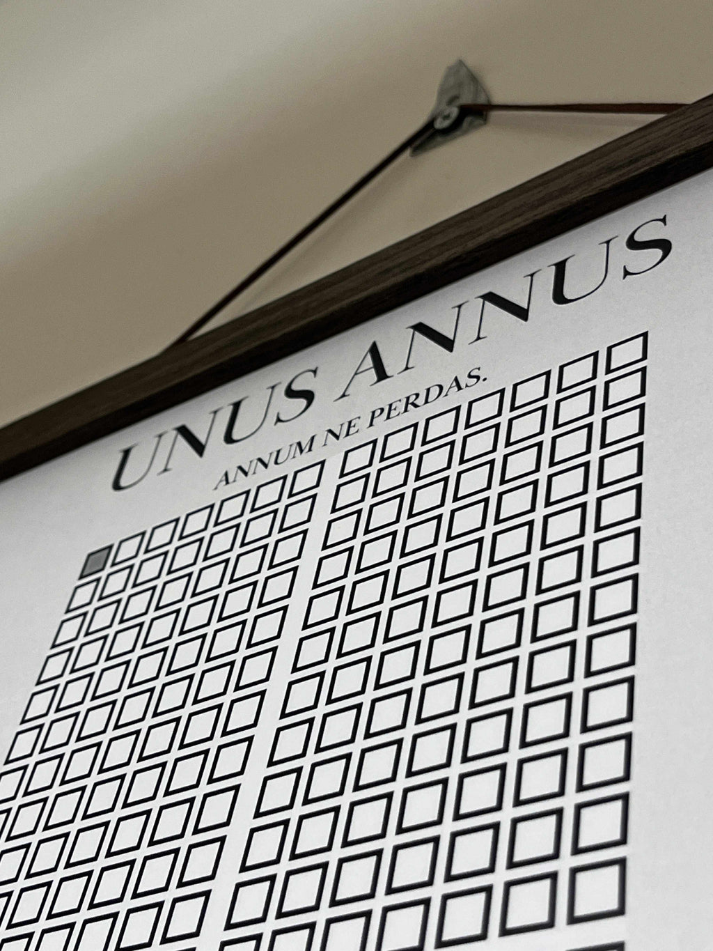Unus Annus