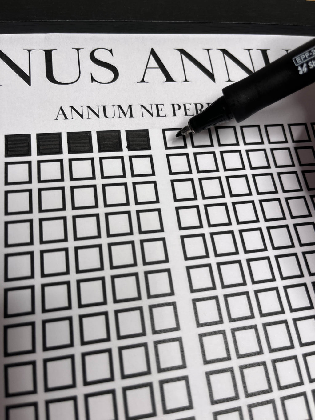 Unus Annus