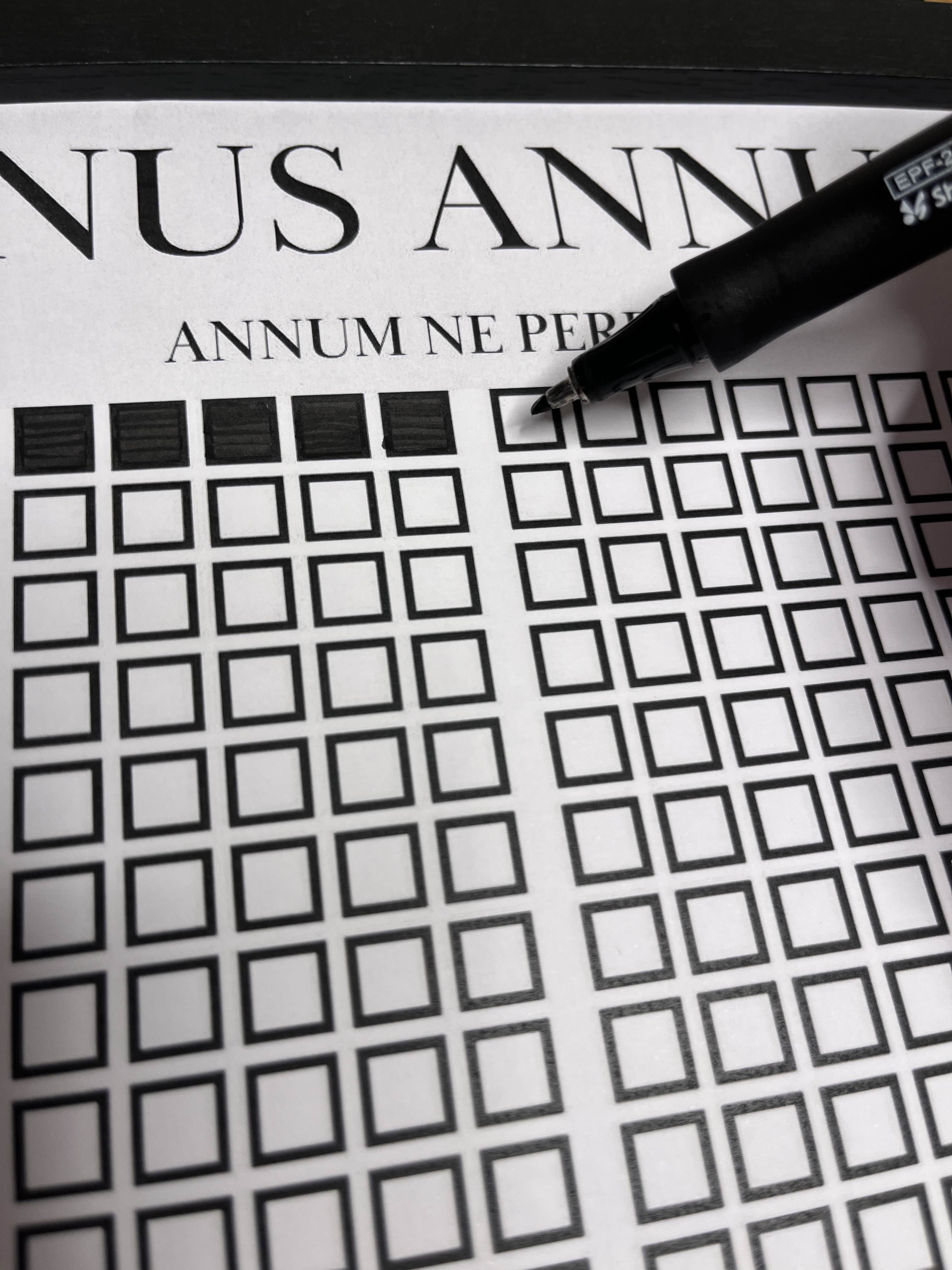 Unus Annus